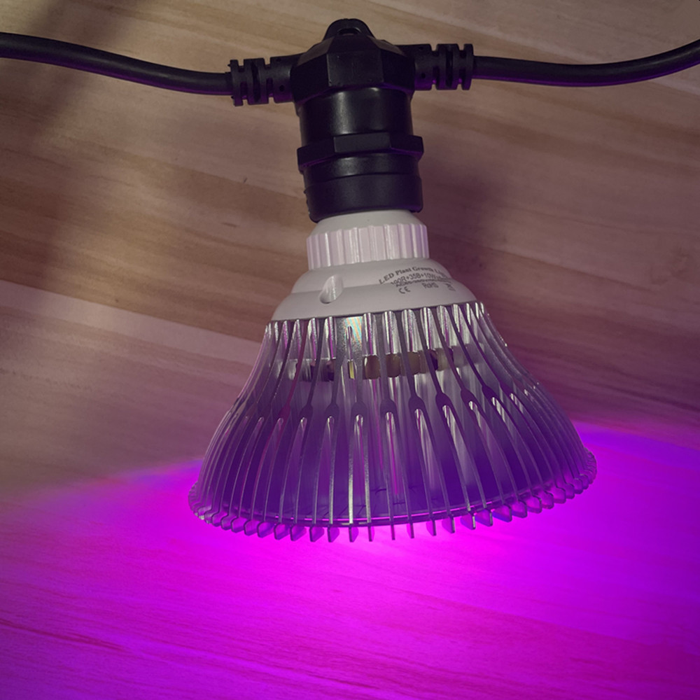 Cadena de luces LED de 10M, re - Outdoor Lighting Extension Cord reseña y precio