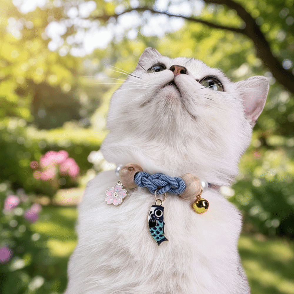 Collar ajustable para gatos co - Color Changing Outdoor reseña y precio
